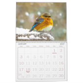 Foto-Kalender für wild lebende Vogelarten Kalender (Jan 2027)