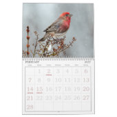 Foto-Kalender für wild lebende Vogelarten Kalender (Feb 2027)