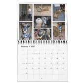 Foto-Kalender Kalender (Feb 2027)