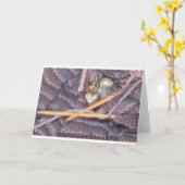 Foto Karte (Gelbe Blume)