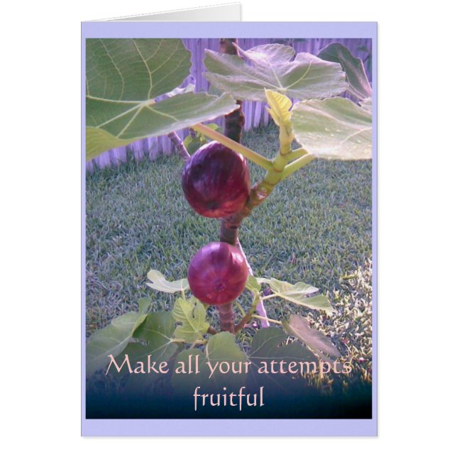 Foto-Karte 3 (Vorne)