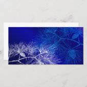 Foto-Karte für den blauen und weißen Winterpine (Vorne/Hinten)