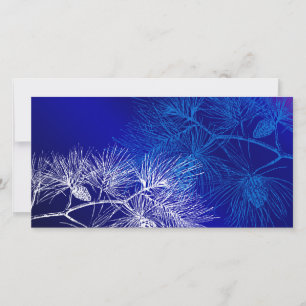 Foto-Karte für den blauen und weißen Winterpine