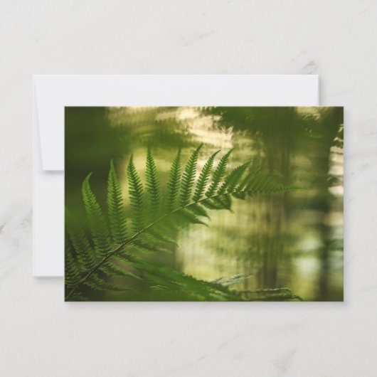 Foto-Karte für Fern Nature (Vorderseite)