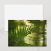 Foto-Karte für Fern Nature (Vorne/Hinten)