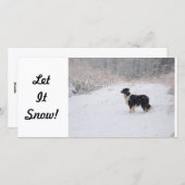 Foto-Karte - Lass es schneien! Feiertagskarte (Vorne/Hinten)
