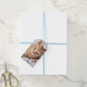 Foto Kätzchen, Text "All meine Liebe drin" , Geschenkanhänger