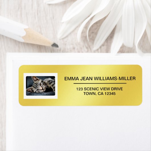 Foto Katze Elegante Moderne Rücksendeadresse Golde (Insitu)