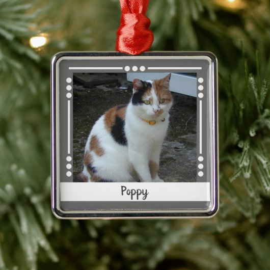 Foto Katze Holiday grau weiß Ornament Aus Metall (Baum)