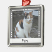 Foto Katze Holiday grau weiß Ornament Aus Metall (Links)