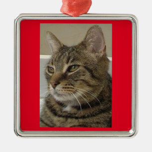 Foto Katze Ornament Aus Metall