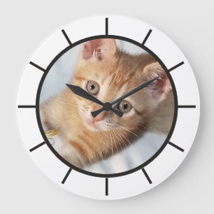 Foto. Katze, Text, austauschbar, Lustig Große Wanduhr