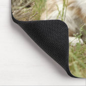 Foto Katzenmaus Mousepad (Ecke)
