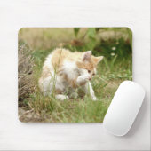 Foto Katzenmaus Mousepad (Mit Mouse)