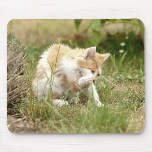 Foto Katzenmaus Mousepad (Vorne)