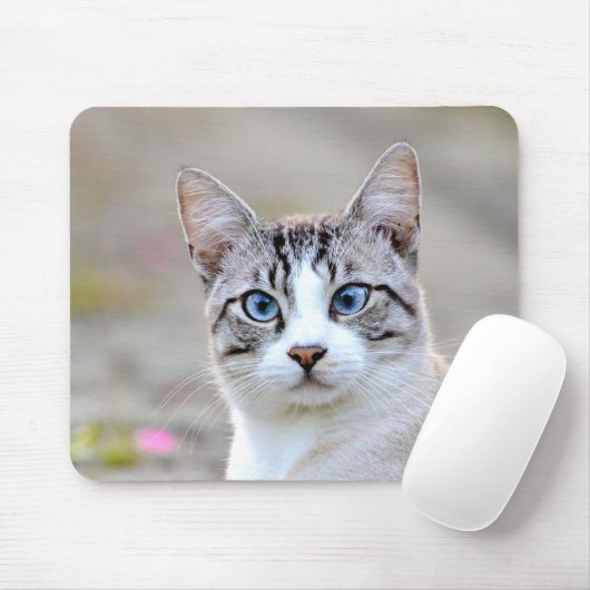 Foto Katzenmaus Mousepad (Mit Mouse)
