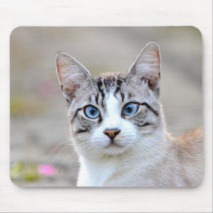Foto Katzenmaus Mousepad