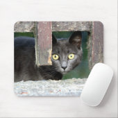 Foto Katzenmaus Mousepad (Mit Mouse)