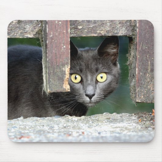 Foto Katzenmaus Mousepad (Vorne)