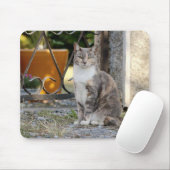 Foto Katzenmaus Mousepad (Mit Mouse)