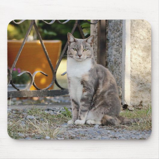 Foto Katzenmaus Mousepad (Vorne)