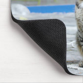 Foto Katzenmaus Mousepad (Ecke)