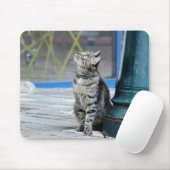 Foto Katzenmaus Mousepad (Mit Mouse)