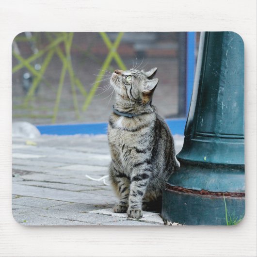 Foto Katzenmaus Mousepad (Vorne)