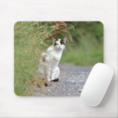 Foto Katzenmaus Mousepad (Mit Mouse)