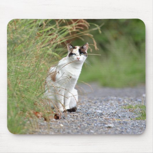 Foto Katzenmaus Mousepad (Vorne)