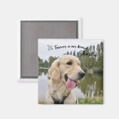 Foto Keepake Memorial Geschenk für Haustiere Magnet (Vorderseite/Rückseite)