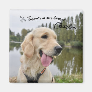 Foto Keepake Memorial Geschenk für Haustiere Magnet