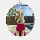 Foto Keramik Ornament (Links)