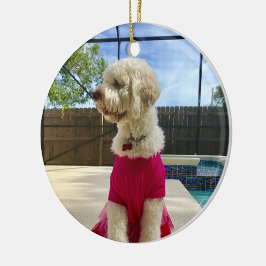 Foto Keramik Ornament (Links)