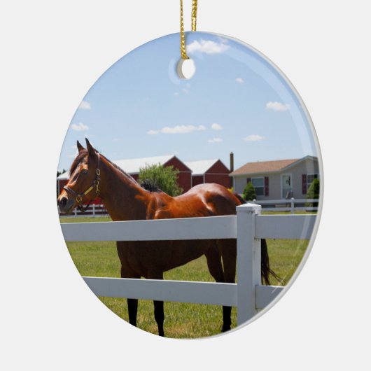 Foto Keramik Ornament (Links)