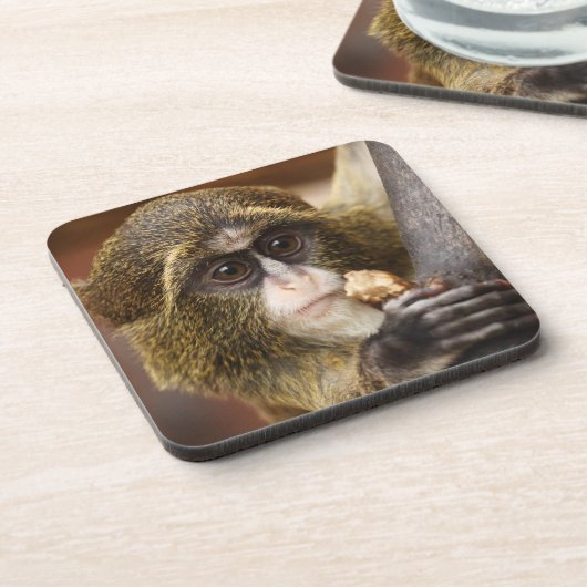 Foto Klettersteig Getränkeuntersetzer (Linke Seite)