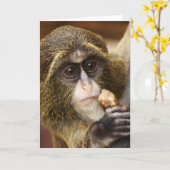 Foto Klettersteig Karte (Gelbe Blume)