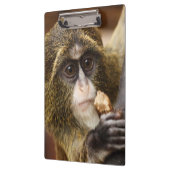 Foto Klettersteig Klemmbrett (Links)