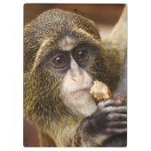 Foto Klettersteig Klemmbrett (Rückseite)