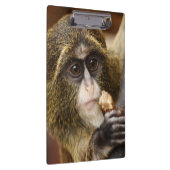 Foto Klettersteig Klemmbrett (Rechts)