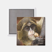 Foto Klettersteig Magnet (Vorderseite/Rückseite)