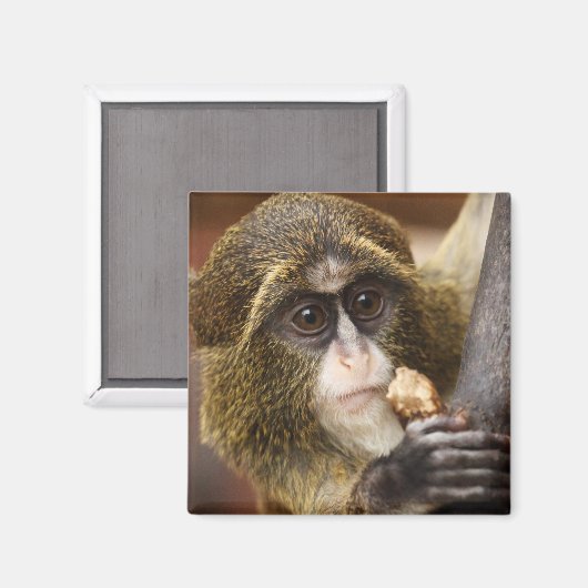 Foto Klettersteig Magnet (Vorderseite/Rückseite)