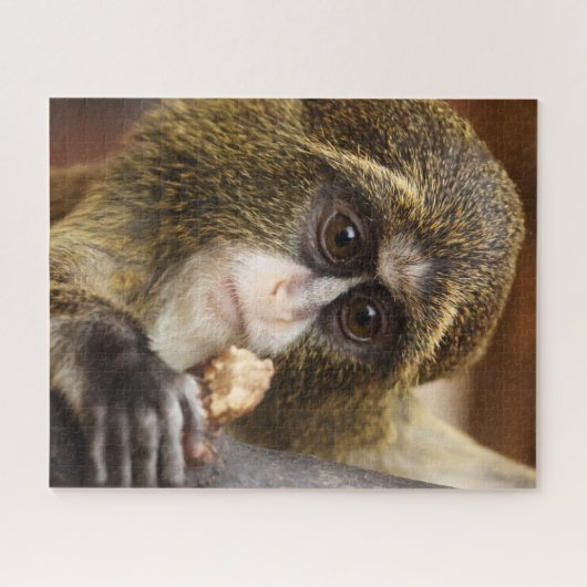 Foto Klettersteig Puzzle (Horizontal)