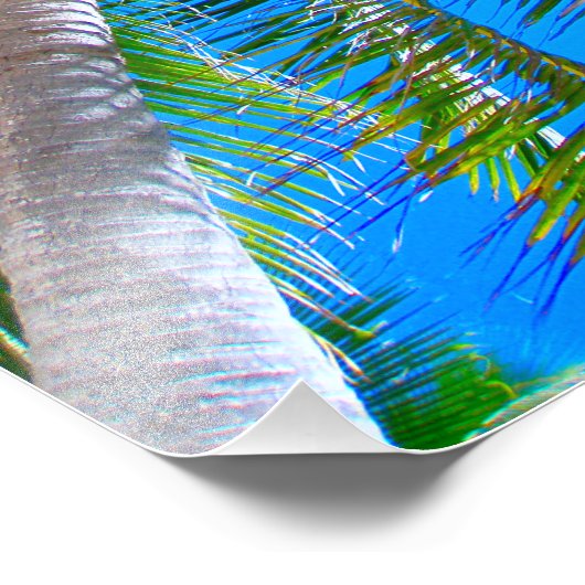 Foto | Kokospalme Vanuatu (Ecke)