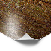 Foto "Lady Behind Camera" drucken (Ecke)