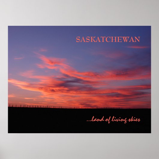 Foto "Land der Lebewesen" drucken Poster (Vorne)