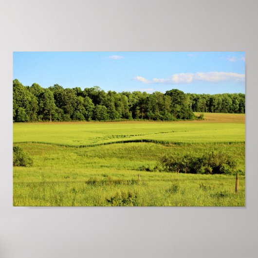Foto Landschaft Poster (Vorne)