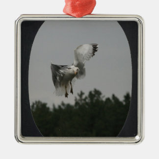 Foto Large Oval Frame hinzufügen (schwarz) Ornament Aus Metall