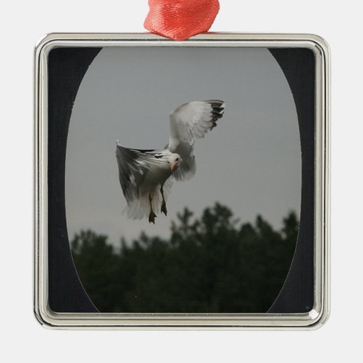 Foto Large Oval Frame hinzufügen (schwarz) Ornament Aus Metall (Vorne)