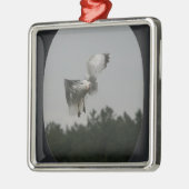 Foto Large Oval Frame hinzufügen (schwarz) Ornament Aus Metall (Links)